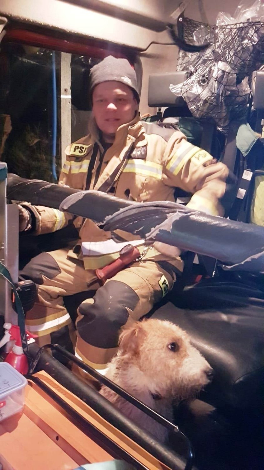 Sądeccy strażacy ratowali psa, który utknął w kratach kanału melioracyjnego