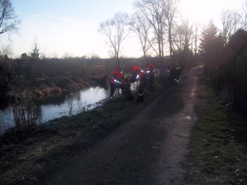 Ratują nie tylko życie, ale i środowisko. Strażacy z OSP sprzątali brzegi rzeki Drzewiczki