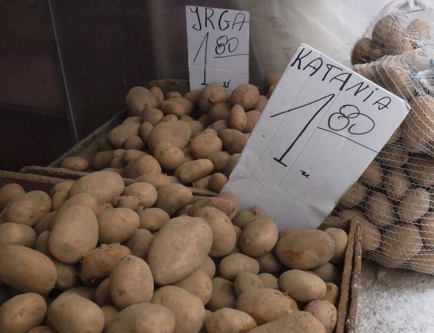 Ziemniaki 1,80 za kilogram