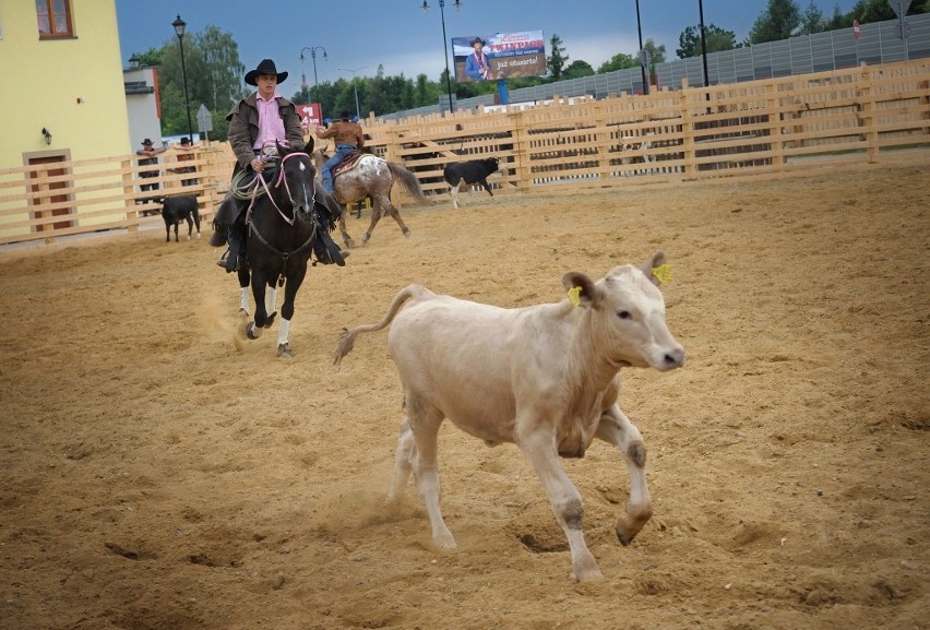 Żory western: Pokazy rodeo - Wild West Show. Zobacz zdjęcia!