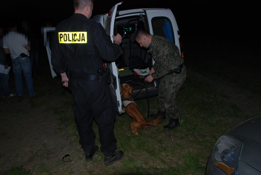 Kosakowo. Gdynianin w lesie hodował marihuanę. Skromną plantację 33-latka znaleźli policjanci