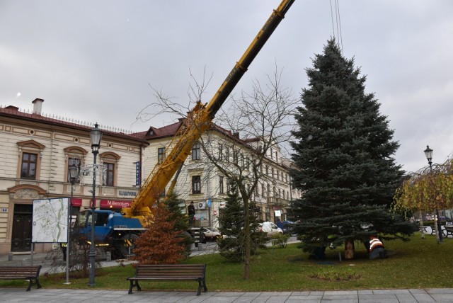 Montaż choinki na placu przed papieską bazyliką w Wadowicach