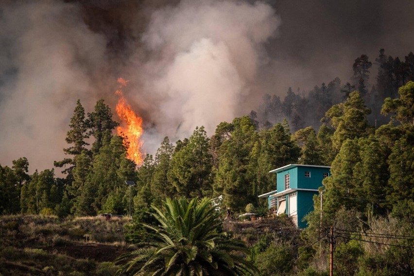 Ogień zniszczył już ok. 5 tys. ha lasów, łąk i pół. Spłonęło...