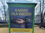 Automat z karmą dla kaczek pojawił się w parku przy ul. Wojska Polskiego i Dworcowej w Kościerzynie