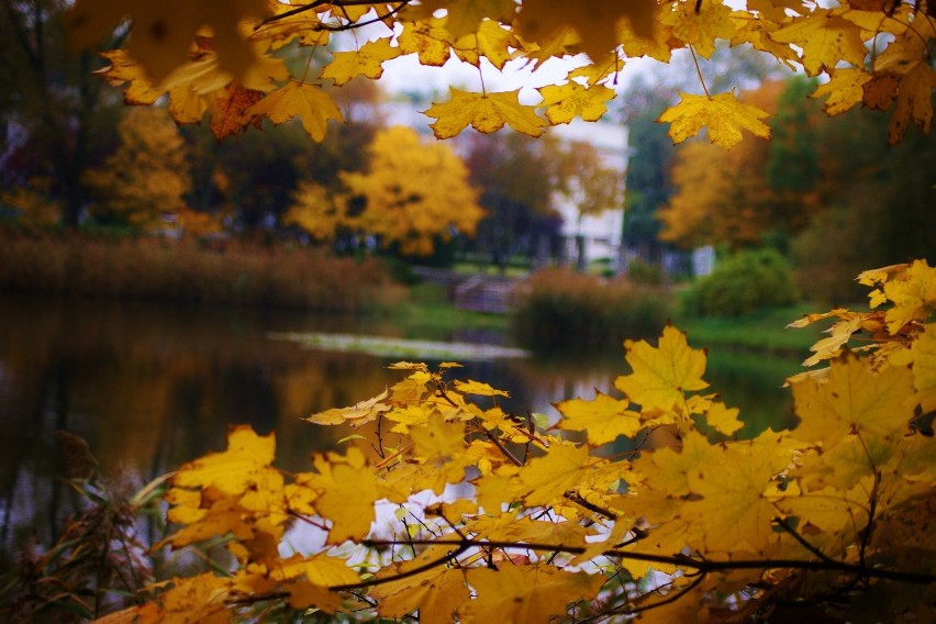 Jesień w Parku Solankowym w Inowrocławiu [zdjęcia]