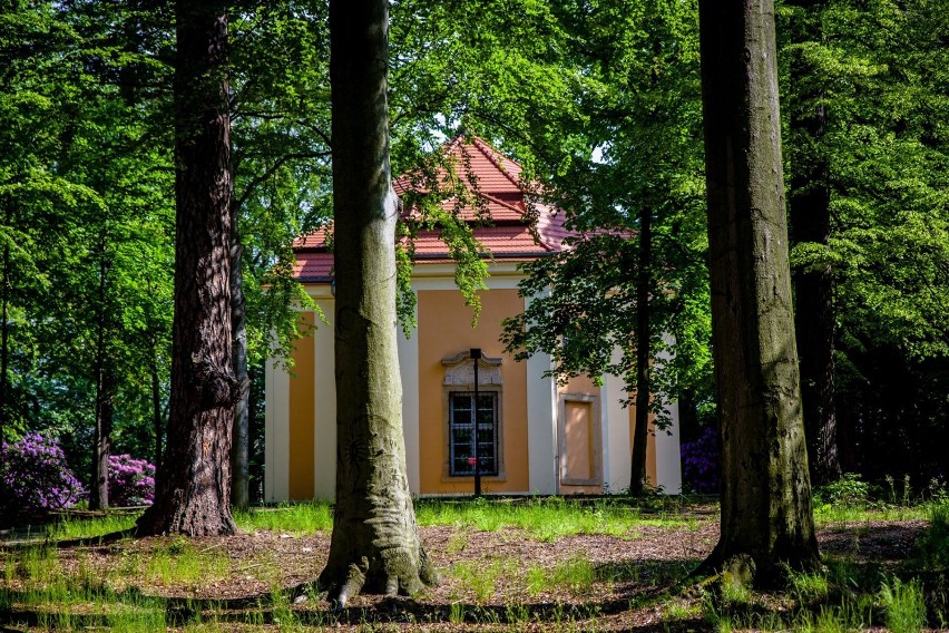 Od piątku będą czynne ogrody Palmiarni i tarasy zamku Książ