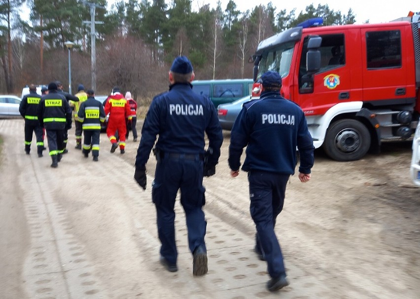 Ćwiczenia służb w lesie w Rotmance (gm. Pruszcz Gd.). "Praktyka pozwala na bardziej skuteczne poszukiwanie osób zaginionych"