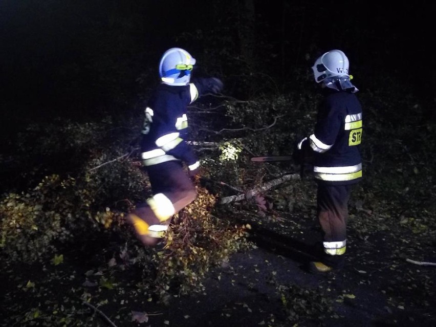 Orkan Ksawery w Gliwicach i powiecie. Strażacy usuwali całą noc zniszczenia