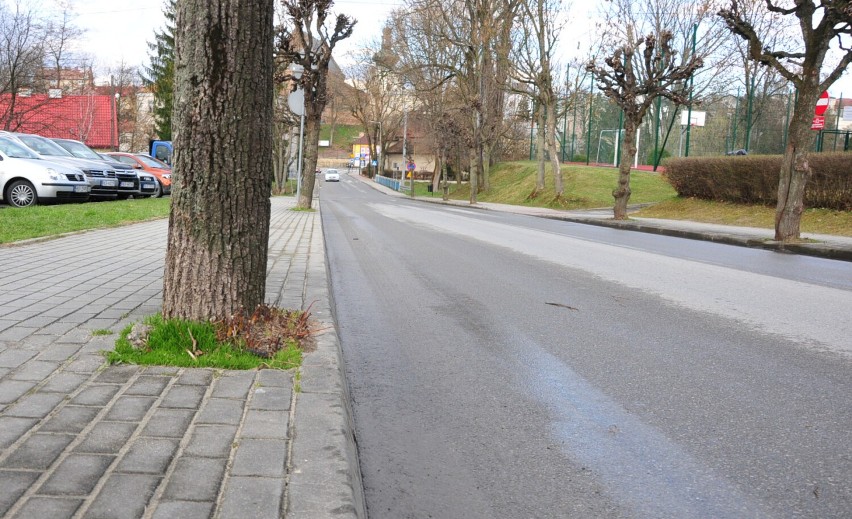 Budowa mostu i rozbudowa ulicy Paderewskiego w Krośnie. Czy konieczna jest wycinka drzew? Mieszkańcy napisali petycję