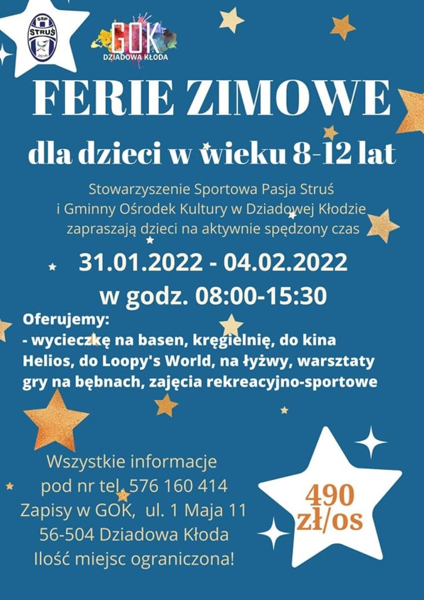 Oto pierwsze propozycje atrakcji spędzania ferii w Oleśnicy, Sycowie i okolicy.