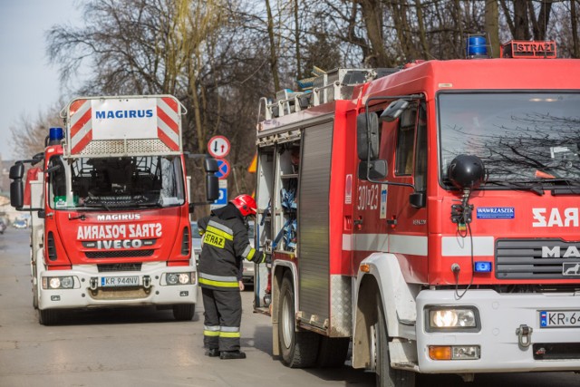 zdjęcie ilustracyjne