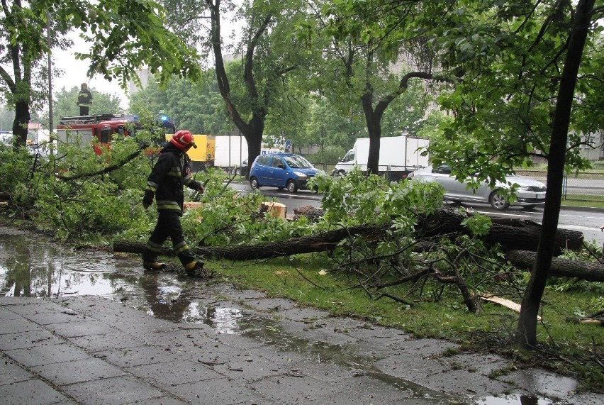 TIR łamał drzewa na kieleckiej ulicy. Było niebezpiecznie (ZDJĘCIA)