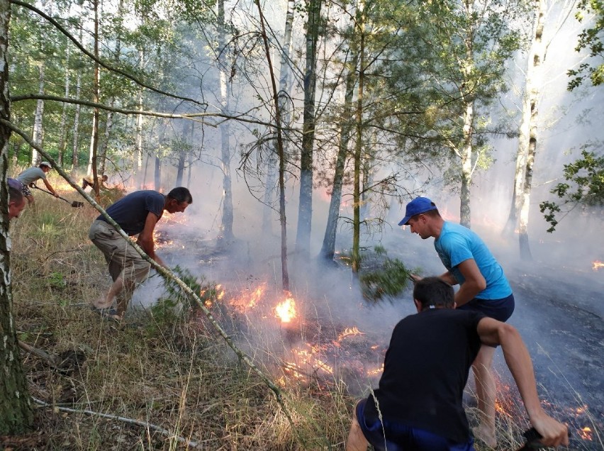 Wielki pożar zboża i lasu w Bełczu Górnym. W jego gaszeniu pomogli Ukraińcy [ZDJĘCIA]