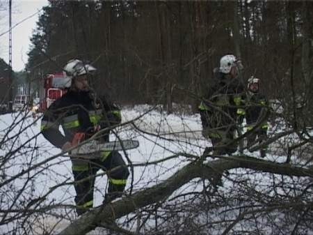 Strażacy z Trzcianki usuwają powalone drzewa z trasy nr. 11 z Poznania do Kołobrzegu