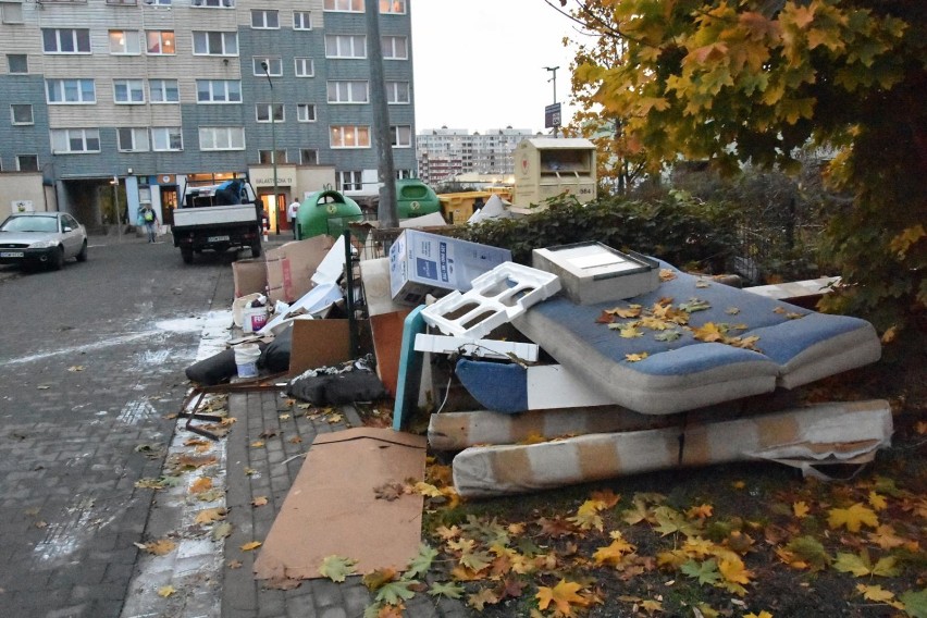 Mieszkańcy Legnicy sprzątają miasto! W Legnicy zapoczątkowano już trzy akcje zbierania śmieci. Dołącz do nich także Ty!