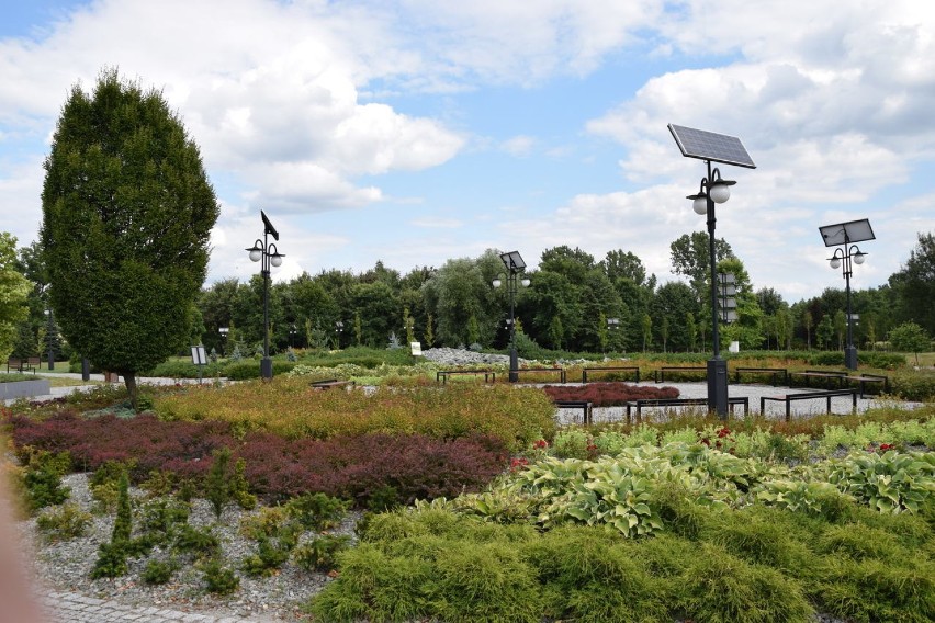 Arboretum w Bieruniu-Bijasowicach