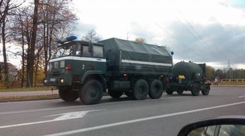 Bogatynia: Saperzy na terenie działek "Marzenie"