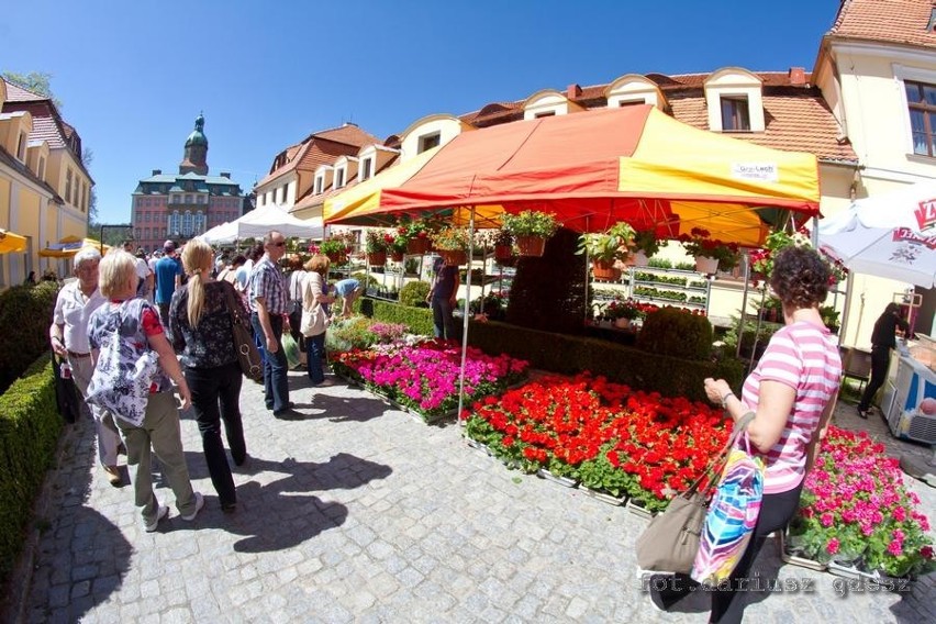 W Książu trwa 24. Festiwal Kwiatów i Sztuki (ZDJĘCIA)