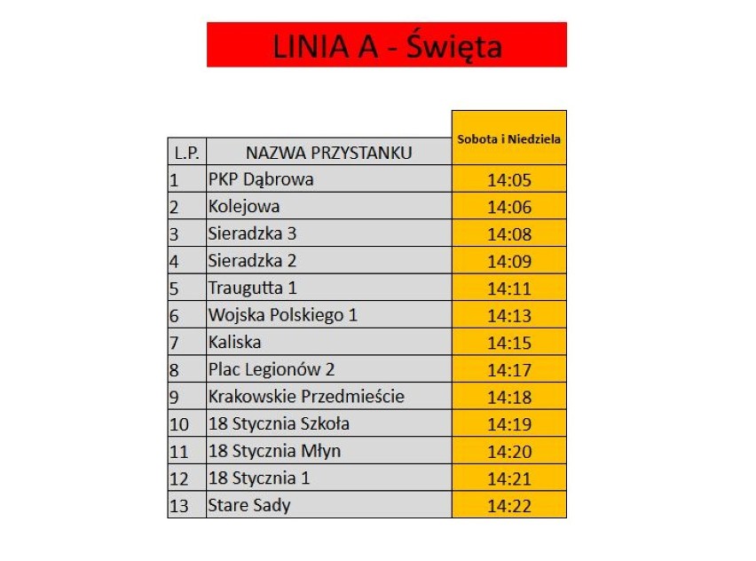 Komunikacja miejska w gminie Wieluń po nowemu od 4 listopada [NOWE ROZKŁADY]