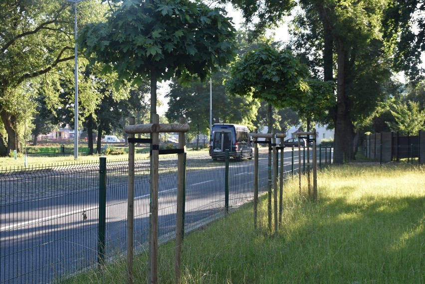 Łącznie, przez ostatnie 4,5 roku, na miejsce 206 usuniętych...