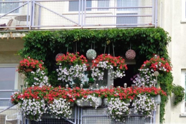 Zgłoś się do konkursu na najładniejszy balkon i ogród. Zobacz, jak wyglądały kandydatury w poprzednich latach