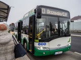 Chełm. Kursowanie autobusów w okresie Świąt i Nowego Roku