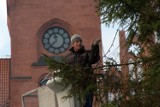 Choinka w Słupsku: Ubierali świąteczne drzewko przed ratuszem [FOTO]