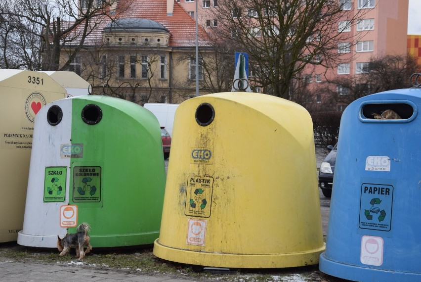 Śmieci w Kaliszu. Zdaniem radnych KO Miasto nie poinformowało należycie o nowych stawkach opłat. Urząd odpowiada
