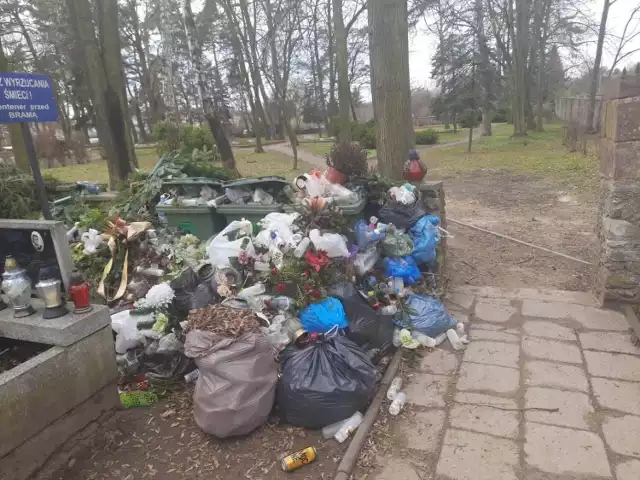 Góra śmieci rośnie na granicy Cmentarza Starego i Cmentarza Żołnierzy Radzieckich w Kielcach. Kto ma ją posprzątać ? 

Zobacz kolejne zdjęcia