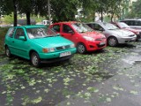 Odszkodowania po gradobiciu Śląsk. Jak naprawić samochód