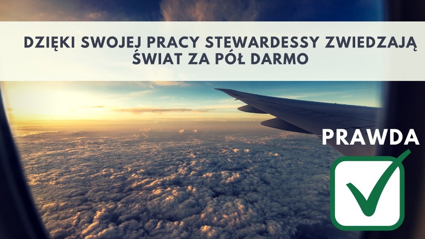 5. Dzięki swojej pracy stewardessy zwiedzają świat za pół...