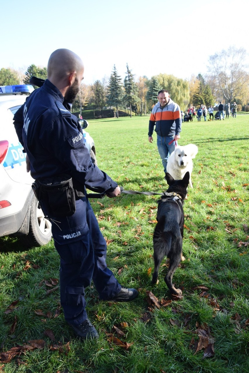 Chełm. Festyn z okazji Dnia Zwierzaka, zobacz naszą relację