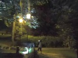 Mocno pobudzony mężczyzna krzyczał i niszczył ogrodzenie stawu w parku w Wejherowie
