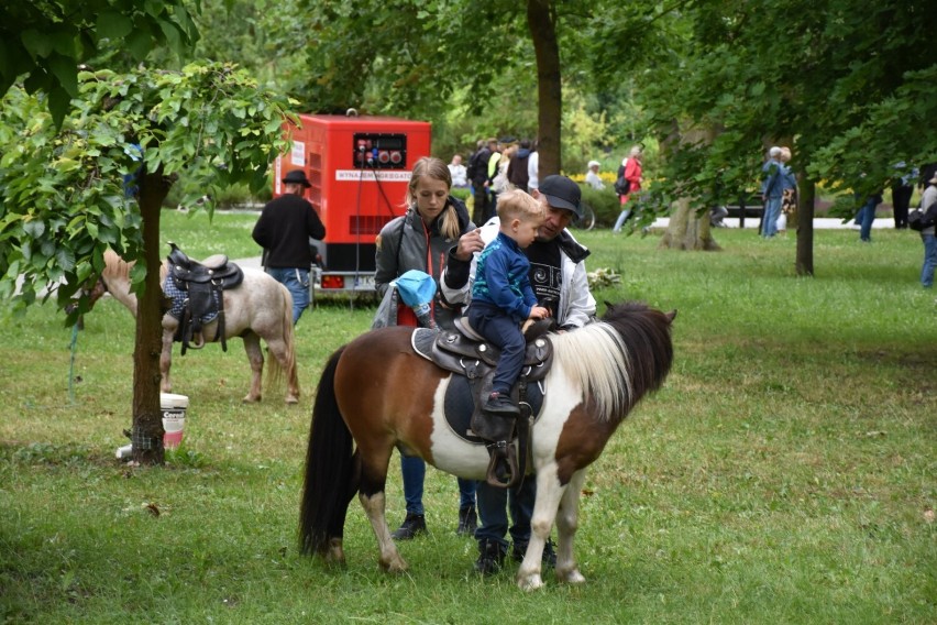 Piknik z Wierzyczanką z okazji Dni Starogardu Gdańskiego odbył się w parku miejskim 