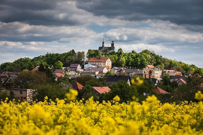 Góra Świętej Anny to najwyższe wzniesienie grzbietu Chełma...