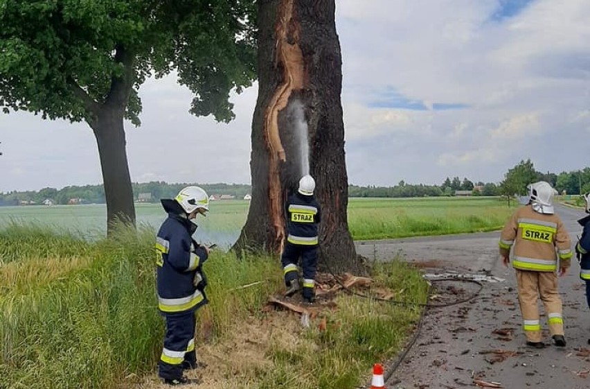 Gmina Ciasna. Piorun uderzył w 300-letni pomnik przyrody