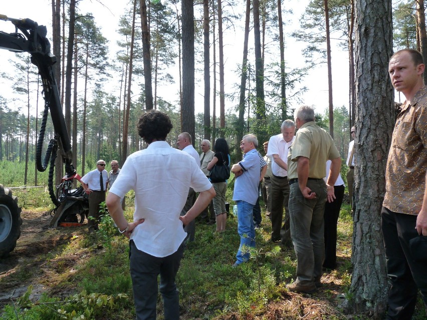 Ukraińscy leśnicy w lubelskich lasach