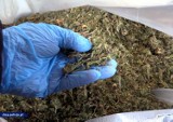 26 osób na ławie oskarżonych za handel narkotykami w Kołobrzegu