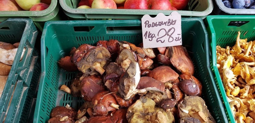 Ceny grzybów 2019. Ile kosztują grzyby na Śląsku? Sprawdź!