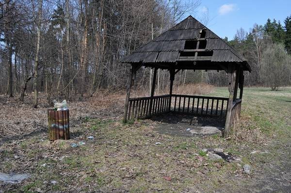 Las Grodziecki obecny wygląd więcej na www.bedzin24.com