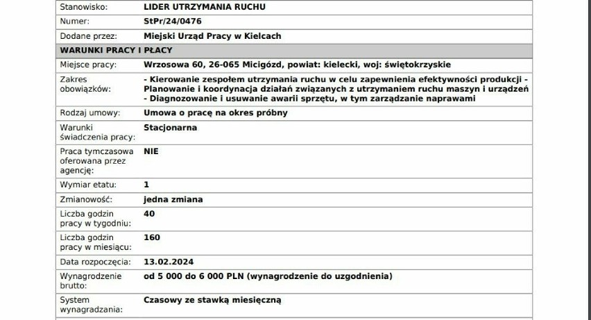 Oto oferty pracy w Kielcach. Gdzie rekrutują? Można sporo zarobić