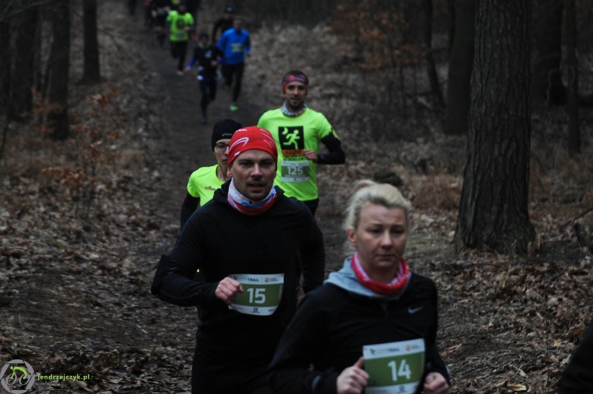 City Trail w Katowicach - zdjęcia z finałowego biegu [28 luty 2016]