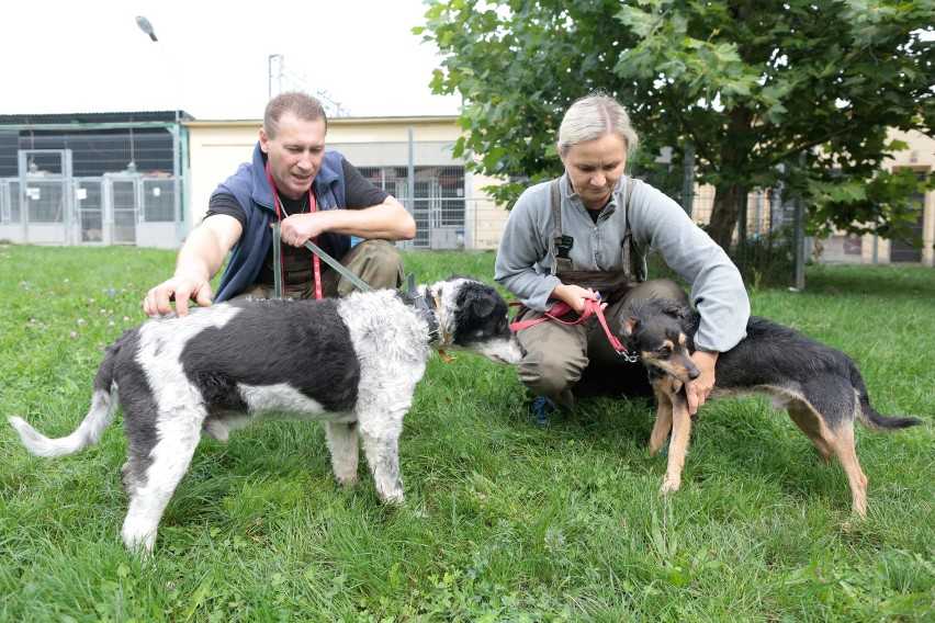 na dom czeka m.in. Klas, piesek, który zaczyna ślepnąć. To...