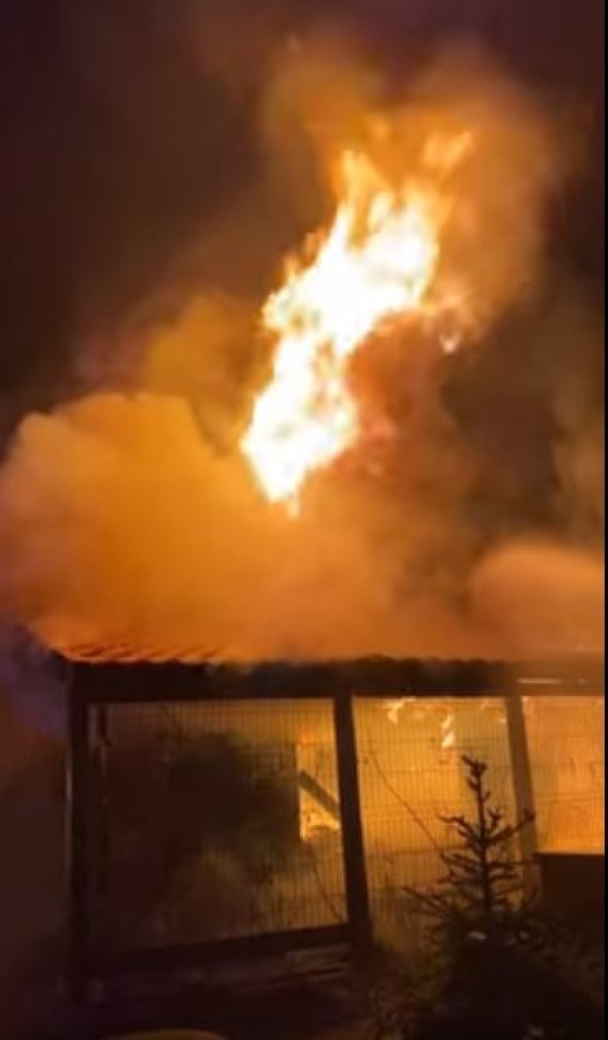 Pożar w Karczewku. Palił się domek letniskowy