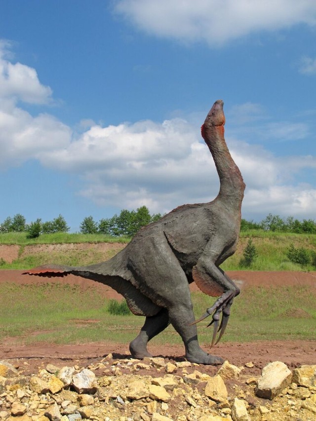 Z dinozaurami z Krasiejowa będzie się można spotkać "oko w oko" na opolskim Rynku