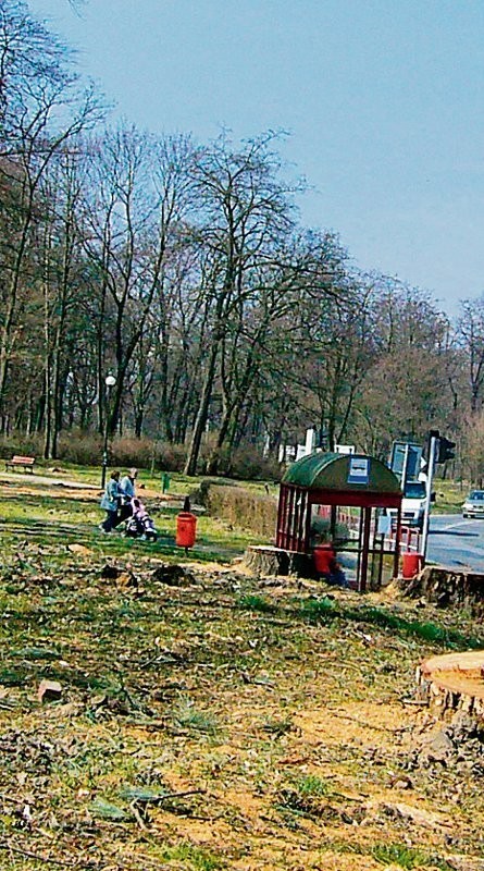 W tym rejonie parku znajduje się zasypana fontanna