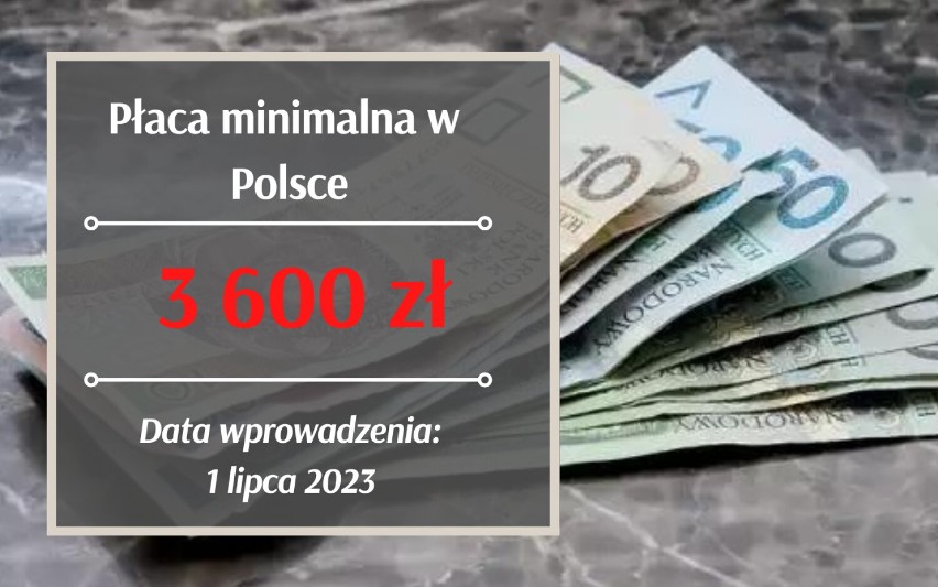 Wzrost płacy minimalnej w 2024. Tyle wyniesie najniższa pensja od stycznia w Polsce - będą dwie podwyżki!