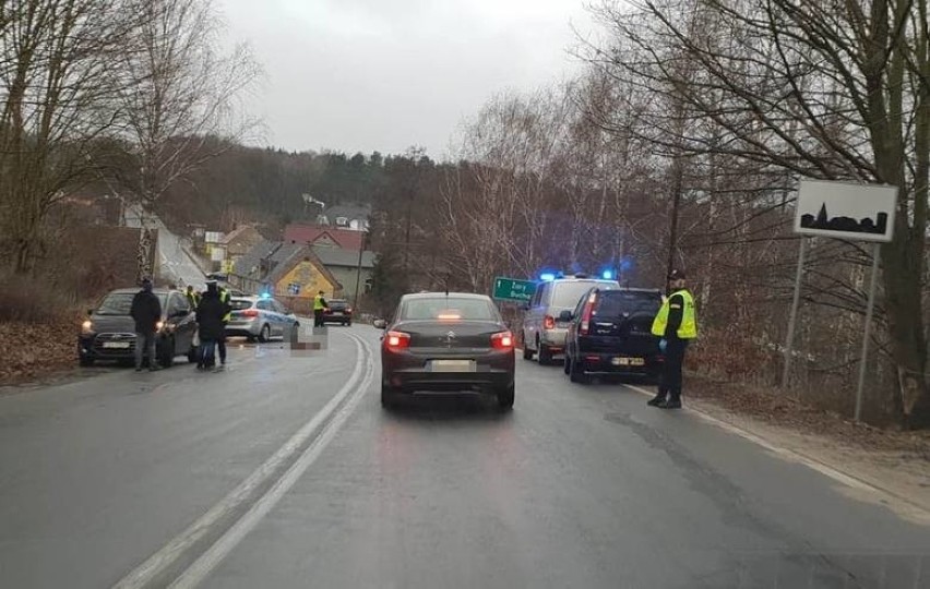 Nie żyje mały dzik poszkodowany w wypadku w Wilkanowie. Trafił do Ośrodka Rehabilitacyjnego dla Zwierząt Dziko Żyjących