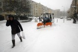 Legnica: W listopadzie 2010 roku miasto było białe od śniegu, zobaczcie zdjęcia