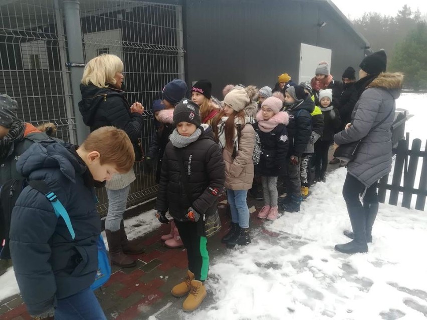 Uczniowie z SP 3 odwiedzili schronisko dla zwierząt we Włocławku [zdjęcia, wideo]